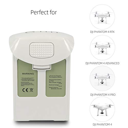 DJI Phantom 4 Replacement Batteries (2-Pack)