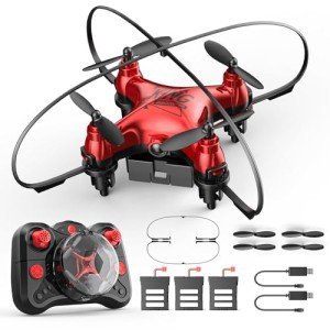 Mini Drone for Kids Beginners: Holyton HT02