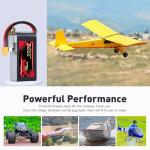 Zeee 3S 4200mAh LiPo Battery with XT60 Plug