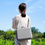 SKYREAT Mini 4 Pro Portable Carrying Case