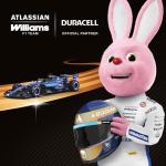 Duracell Plus AA Batteries 24-Pack - Long Lasting