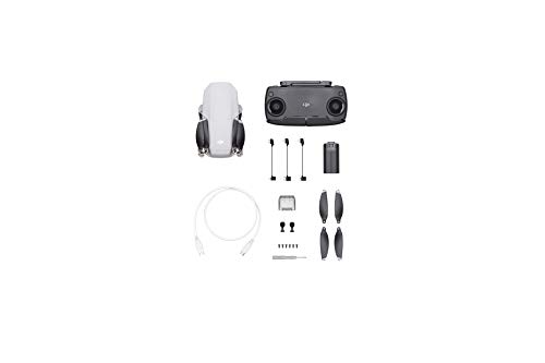 DJI Mavic Mini Camera Drone