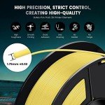 5KG PLA+ 3D Printer Filament Bundle - 5 Spools