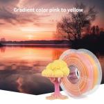 Gradient Pink Yellow PETG Filament 1.75mm 1Kg