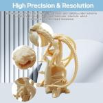 VIDAROSA 1KG ABS-Like LCD 3D Printer Resin