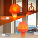 Transparent Gradient Orange Red PETG Filament 1.75mm