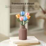 ANYCUBIC 1.75mm PETG Filament - 1KG Clear Spool