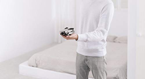 DJI Mavic Mini Drone - Lightweight, 30-Min Flight