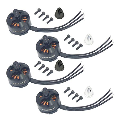 FEICHAO Brushless Motors for Racing Drones