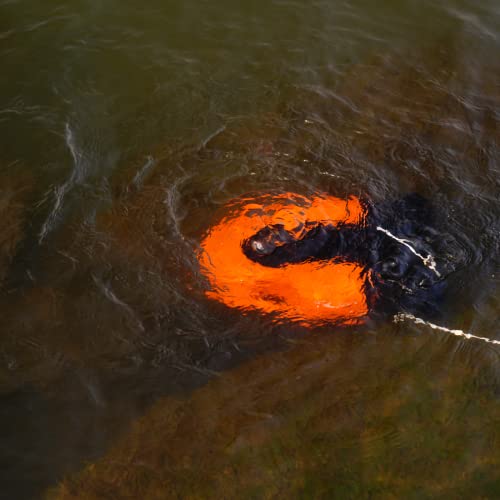 Youcan Robot BW Space Pro 4K Underwater Drone