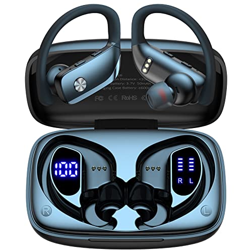 Sport Wireless Earbuds with LED Display - Black