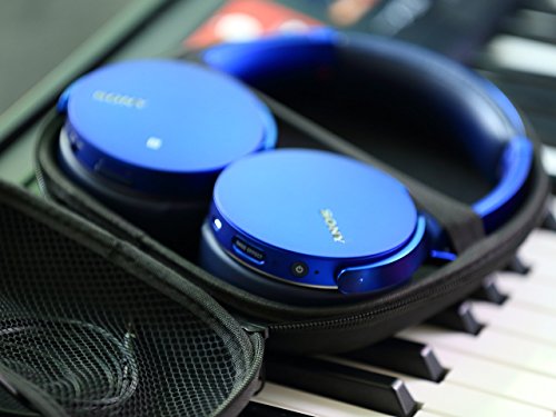 Headphone Case for Sony, COWIN, Bose & Grado