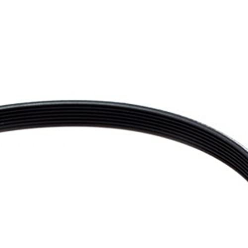 Compatible Dryer Belt for Hotpoint Models