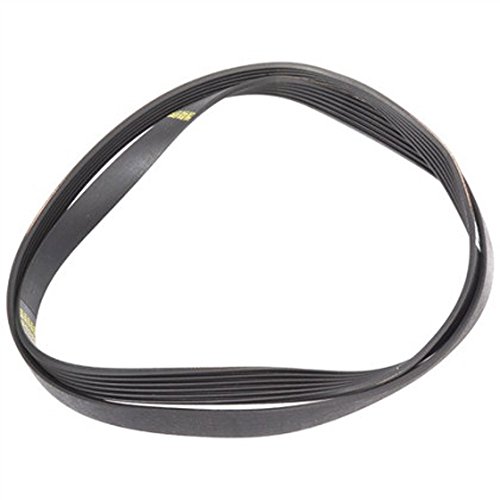 Hotpoint Washing Machine/Tumble Dryer Drive Belt 1201mm