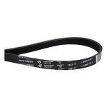 Drive Belt for Washing Machine/Tumble Dryer 481235818156