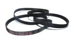 Contitech Tumble Dryer Belt 9PHE 1860