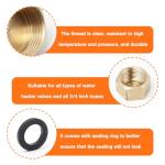 10 Pcs Brass Blanking Caps for Washing Machines