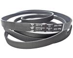 LAZER ELECTRICS 2010 Main Drive Belt for Tumble Dryers
