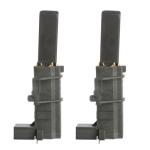 Hoover DYN8144D1X Motor Carbon Brush Set of 2