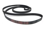 ContiTech 1965mm Type H Tumble Dryer Belt