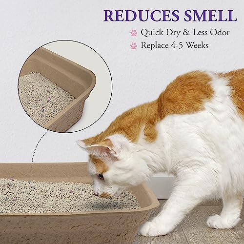 5 Pack Eco-Friendly Disposable Cat Litter Boxes