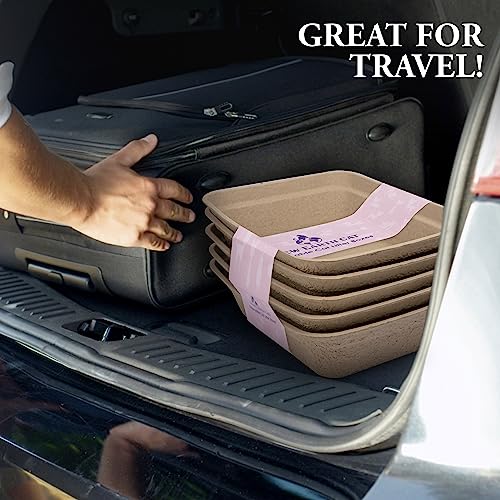 5 Pack Eco-Friendly Disposable Cat Litter Boxes