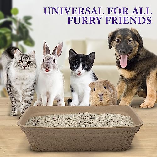 5 Pack Eco-Friendly Disposable Cat Litter Boxes