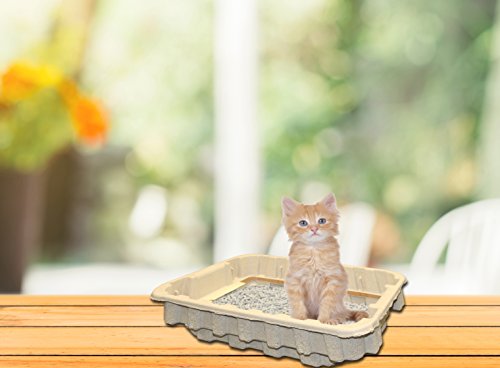 Eco-Friendly Disposable Cat Litter Boxes with Recycled Paper