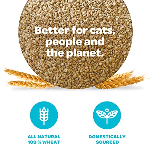 sWheat Scoop Wheat Cat Litter, Fast Clumping, 25lb