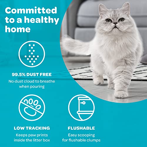 sWheat Scoop Wheat Cat Litter, Fast Clumping, 25lb
