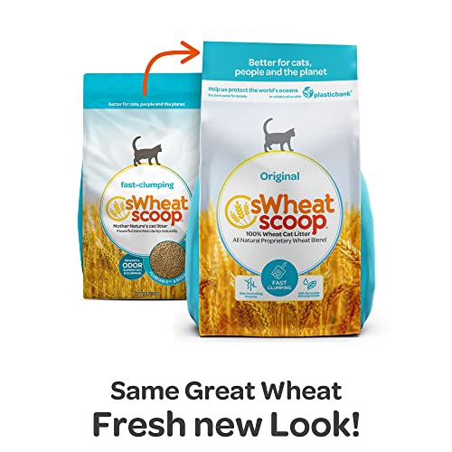 sWheat Scoop Wheat Cat Litter, Fast Clumping, 25lb