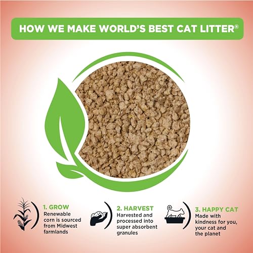 Natural, Odor-Control Cat Litter, 15 lbs - Made in USA