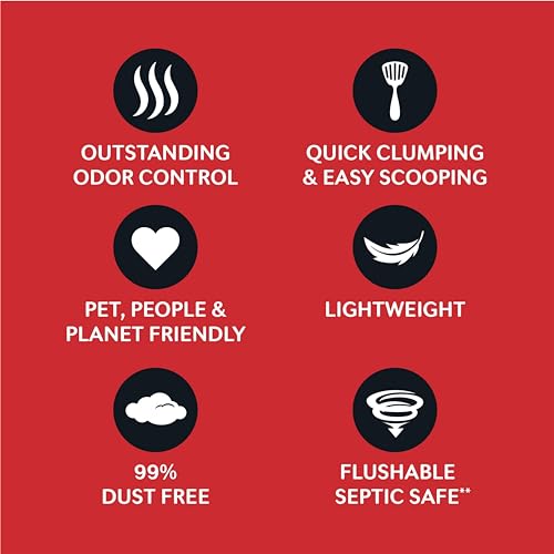 Natural, Odor-Control Cat Litter, 15 lbs - Made in USA