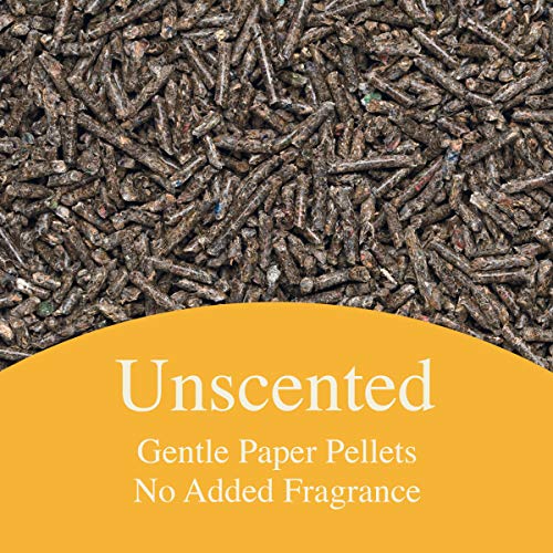 Purina Yesterday's News Unscented Low Tracking Cat Litter