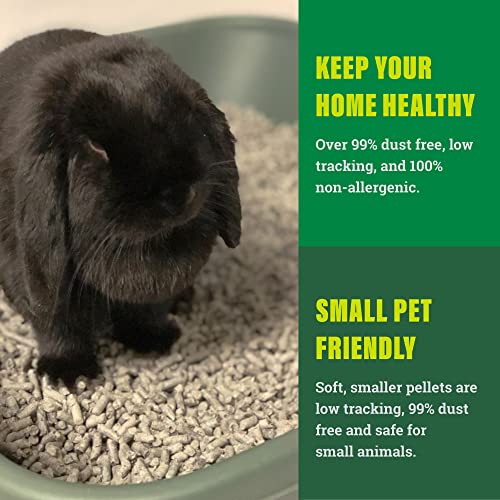 Eco-Friendly Small Animal Litter Bedding, 10 Liters