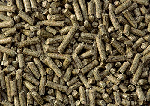 EcoPet Bio Litter: Wood & Hay Pellets, 6.6lb