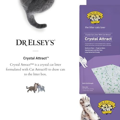 Long Haired Cat Litter by Precious Cat