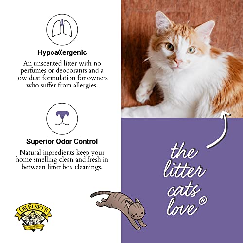 Long Haired Cat Litter by Precious Cat