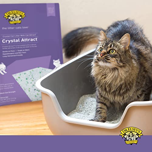 Long Haired Cat Litter by Precious Cat