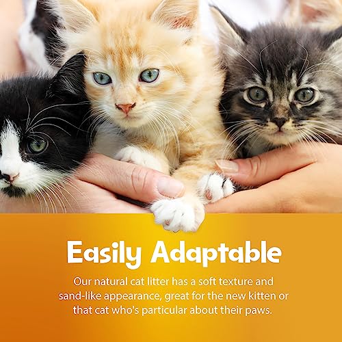 SmartCat Natural Clumping Corn + Wheat Cat Litter