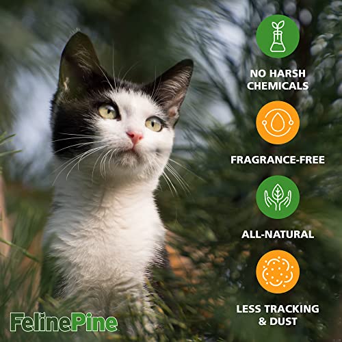 Feline Pine Platinum Non-Clumping Cat Litter 18lb