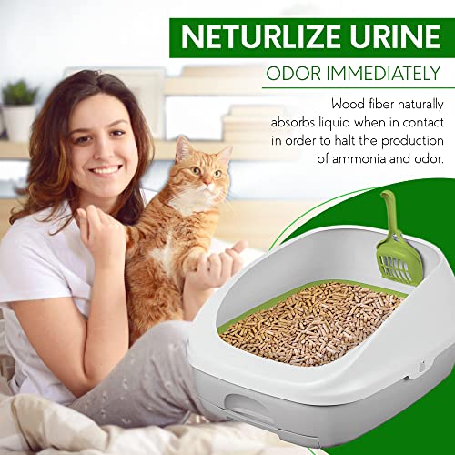 PETSWORLD Pine Wood Cat Litter 22lbs: Absorbent & Unscented