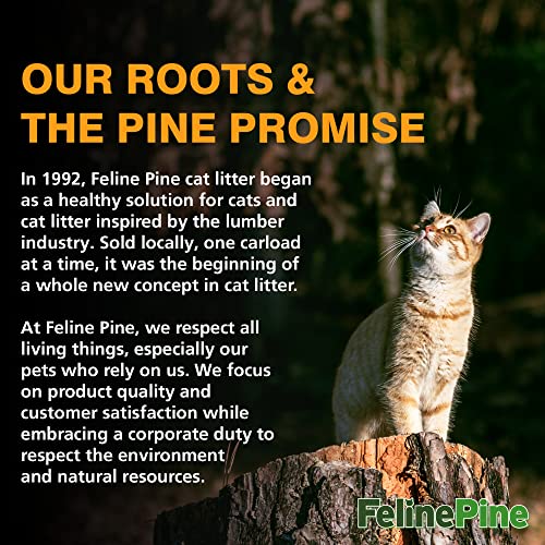 Feline Pine Platinum Non-Clumping Cat Litter 18lb