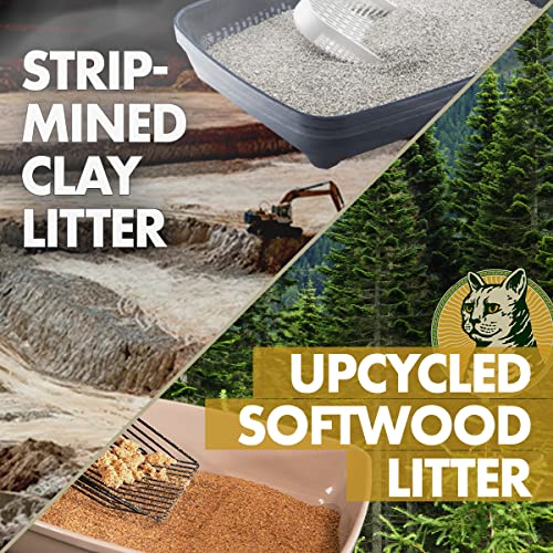 Natural Soft Wood Cat Litter - Odor Control & Clumping