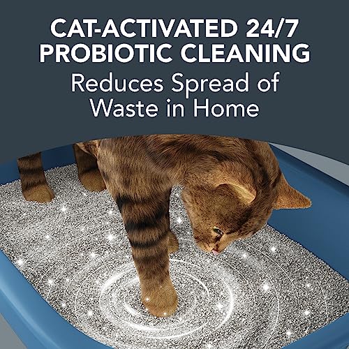 BoxiePro Deep Clean Probiotic Clumping Cat Litter Box