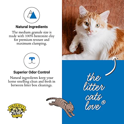 Dr. Elsey’s Premium Ultra Clumping Cat Litter - Unscented