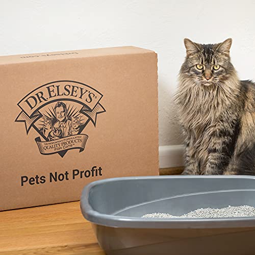 Dr. Elsey's Premium Clumping Cat Litter - Dust-Free & Natural