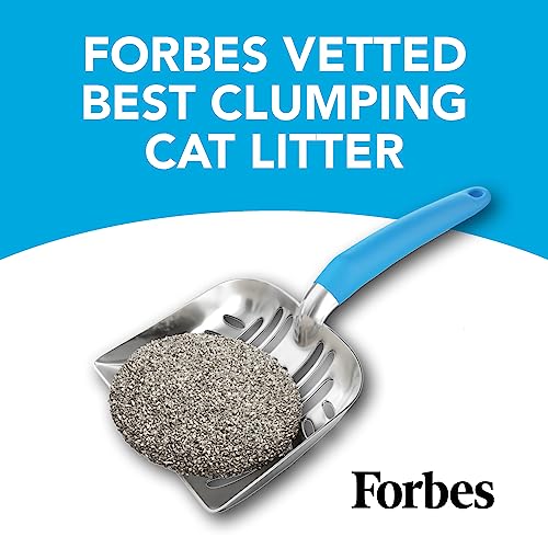 Boxiecat Premium Clumping Cat Litter - Scent-Free Clay