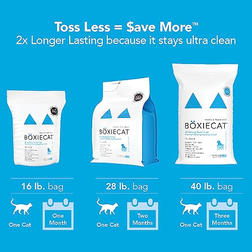 Boxiecat Premium Clumping Cat Litter - Scent-Free Clay