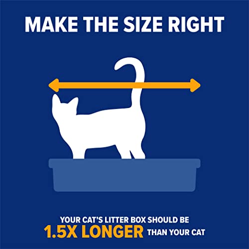 USA-Made Arm & Hammer Rimmed Cat Litter Box